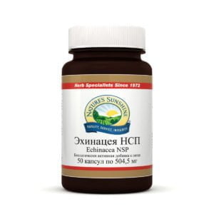 Эхинацeя НСП