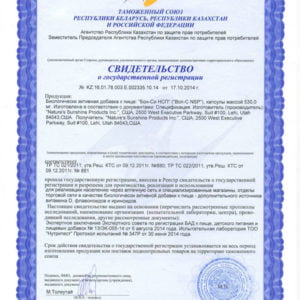 Бон-Си НСП